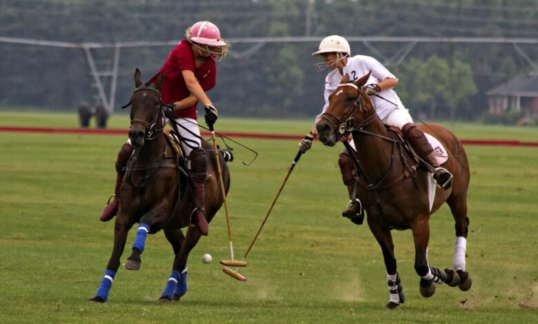 صورة تعبيرية: Pink polo UAE illustrative