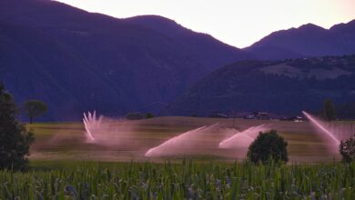 صورة تعبيرية مناسبة لخبر jordan-water، وليست توثيقاً مباشراً للحدث