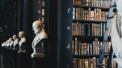 كتب قانونية في مكتبة - صورة تعبيرية - Giammarco Boscaro / Unsplash