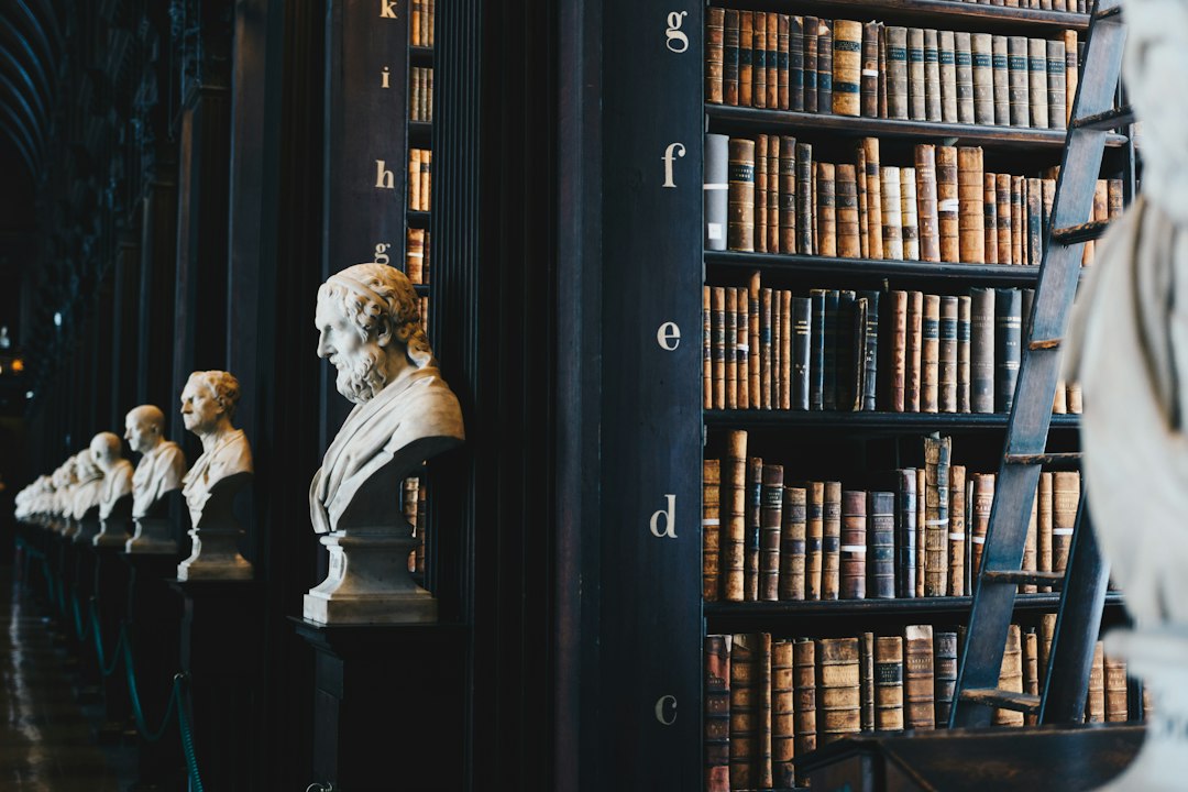 كتب قانونية في مكتبة - صورة تعبيرية - Giammarco Boscaro / Unsplash