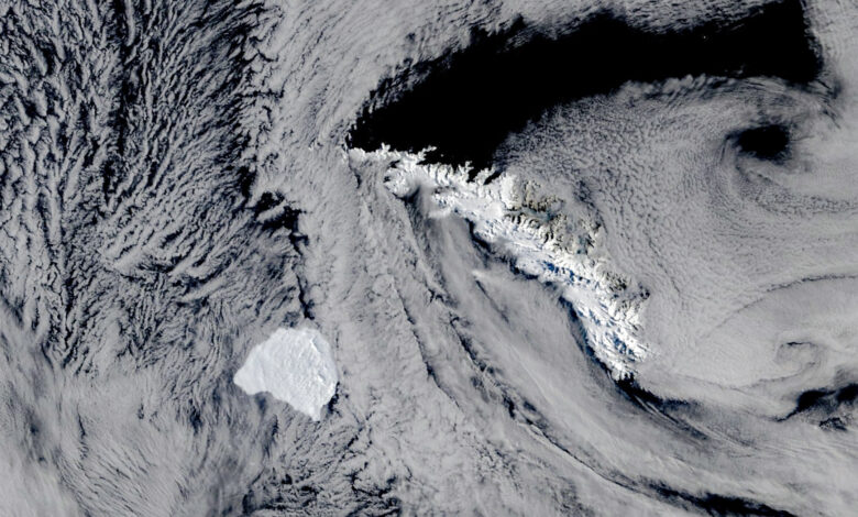 القمر الصناعي تيرا يرصد الجبل الجليدي A-81 قرب جورجيا الجنوبية - NASA Earth Observatory