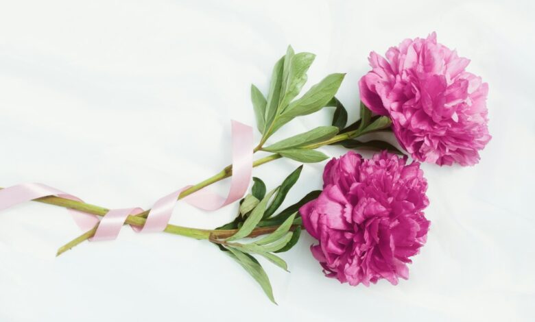 Pink ribbon breast cancer awareness illustrative image