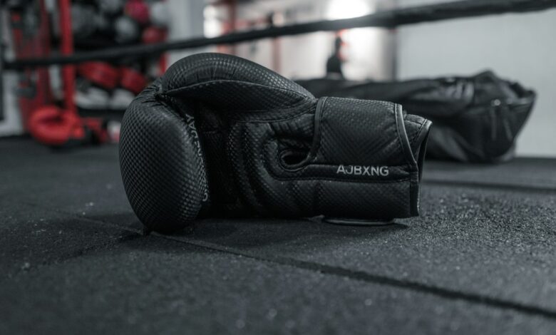 MMA training gloves illustrative image