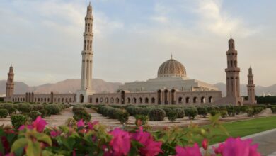 صورة تعبيرية – Hongbin / Unsplash