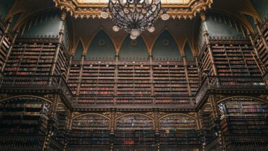 كتب تاريخية ومكتبة – صورة تعبيرية – J. Balla Photography / Unsplash